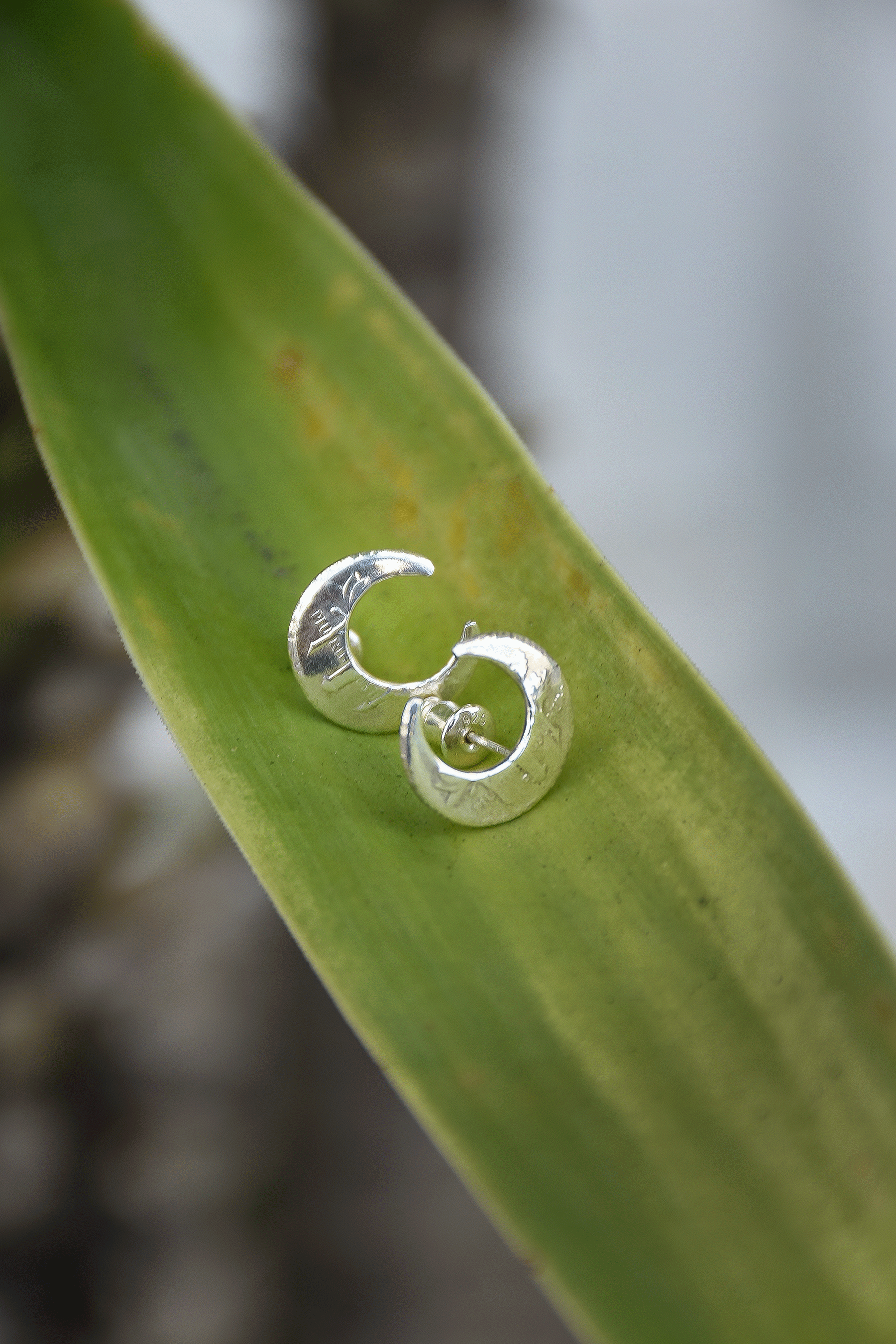 Moon Coin Pierce /F-095 – RAYDY