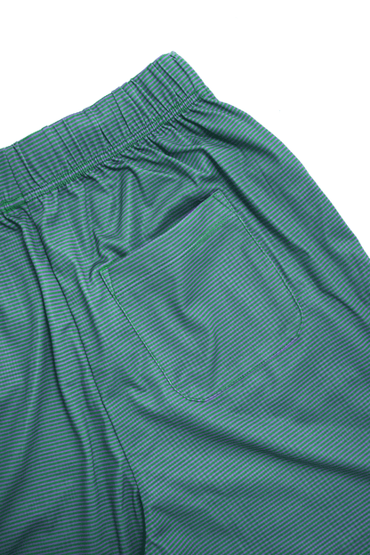 Swim Prib Shorts