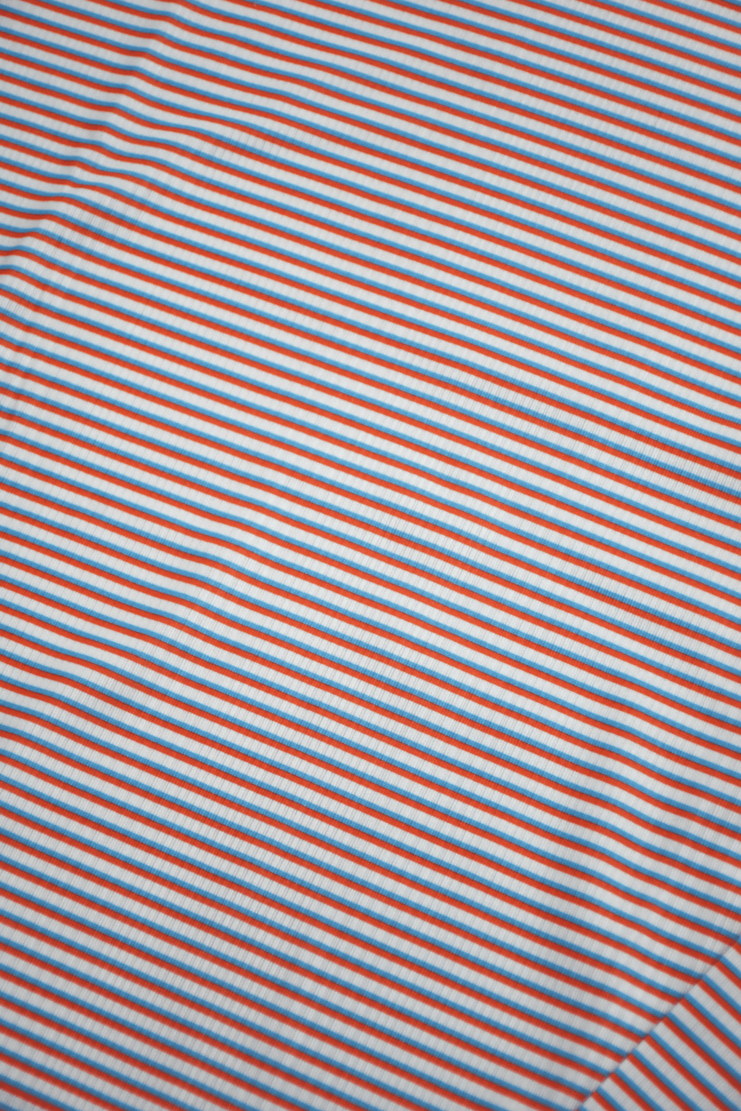 Swim Prib Rash Guard