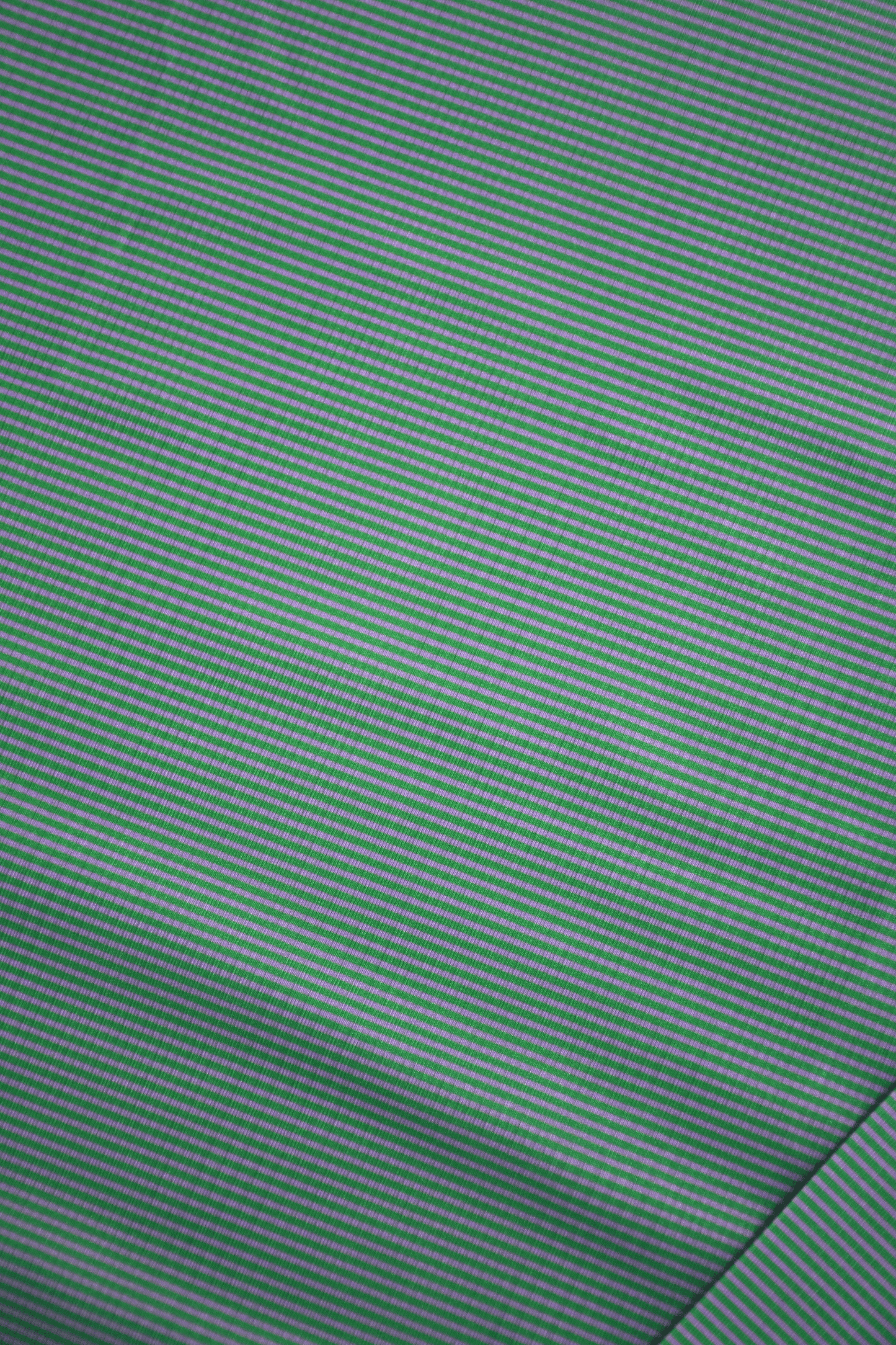 Swim Prib Rash Guard