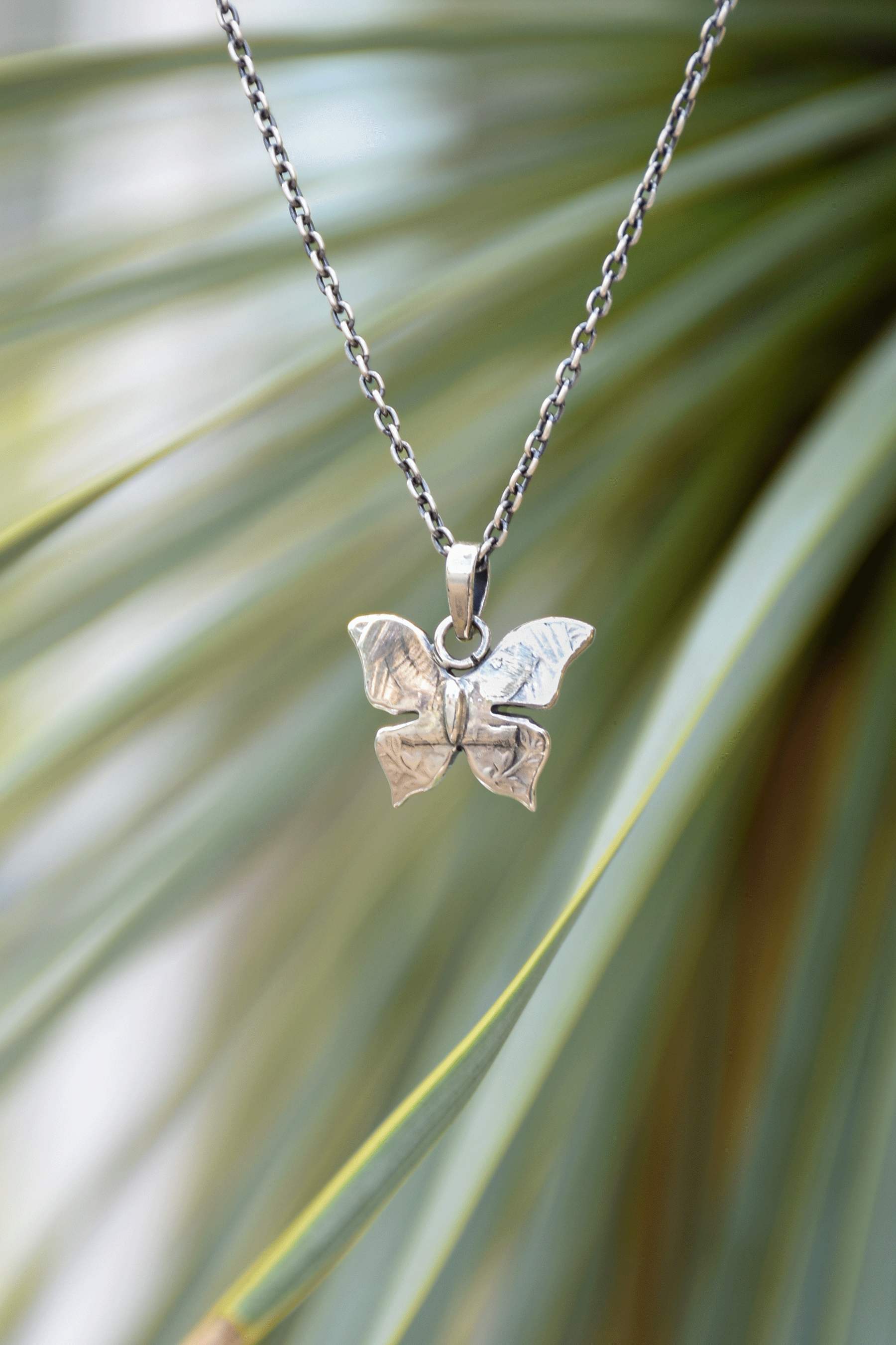 Butterfly Coin Necklace – RAYDY