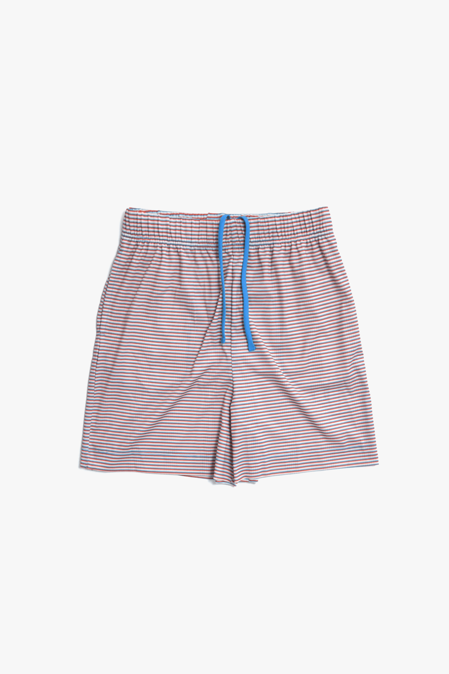 Swim Prib Shorts