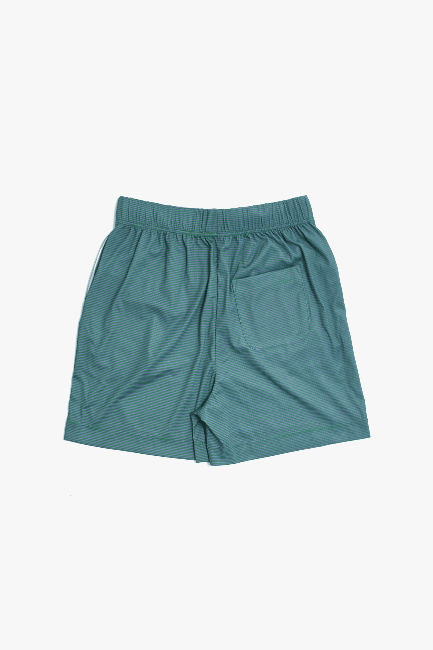 Swim Prib Shorts