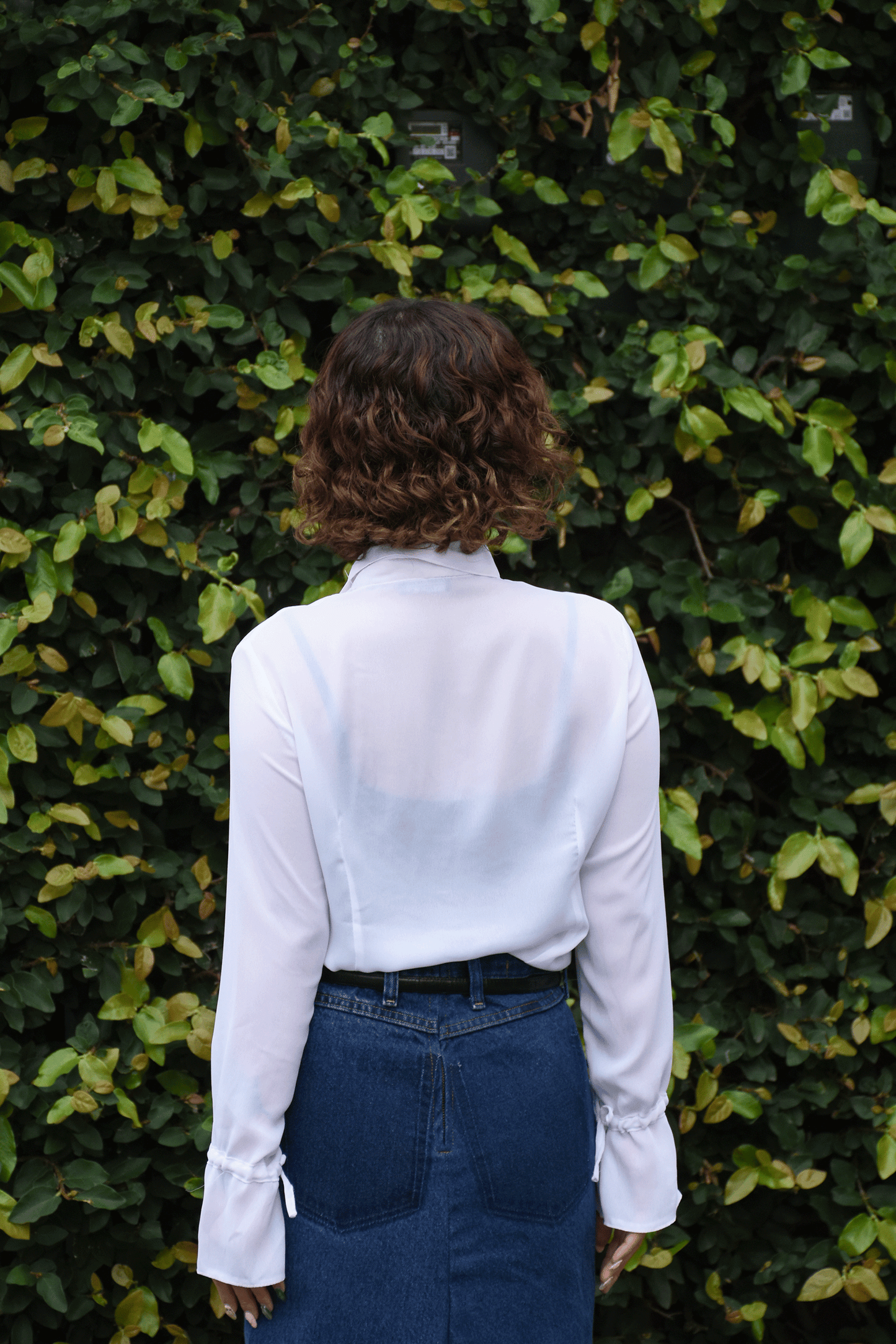 Vintage Frills Blouse