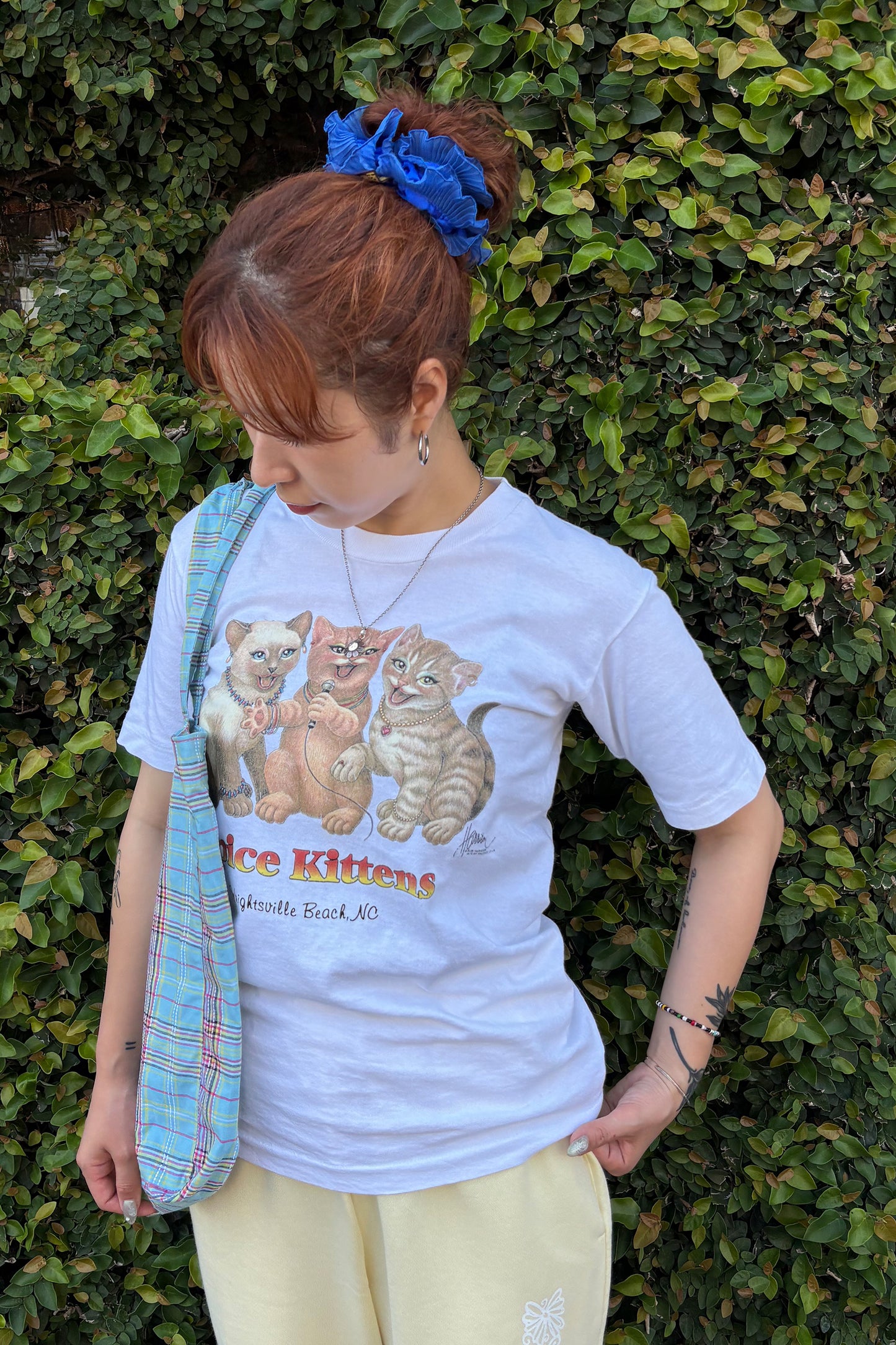90's Bob Harrison Spice Kittens Tee