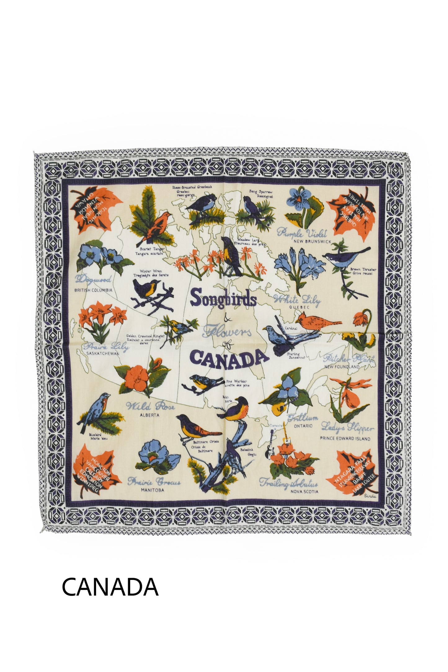 Map print bandana /48cm/9type