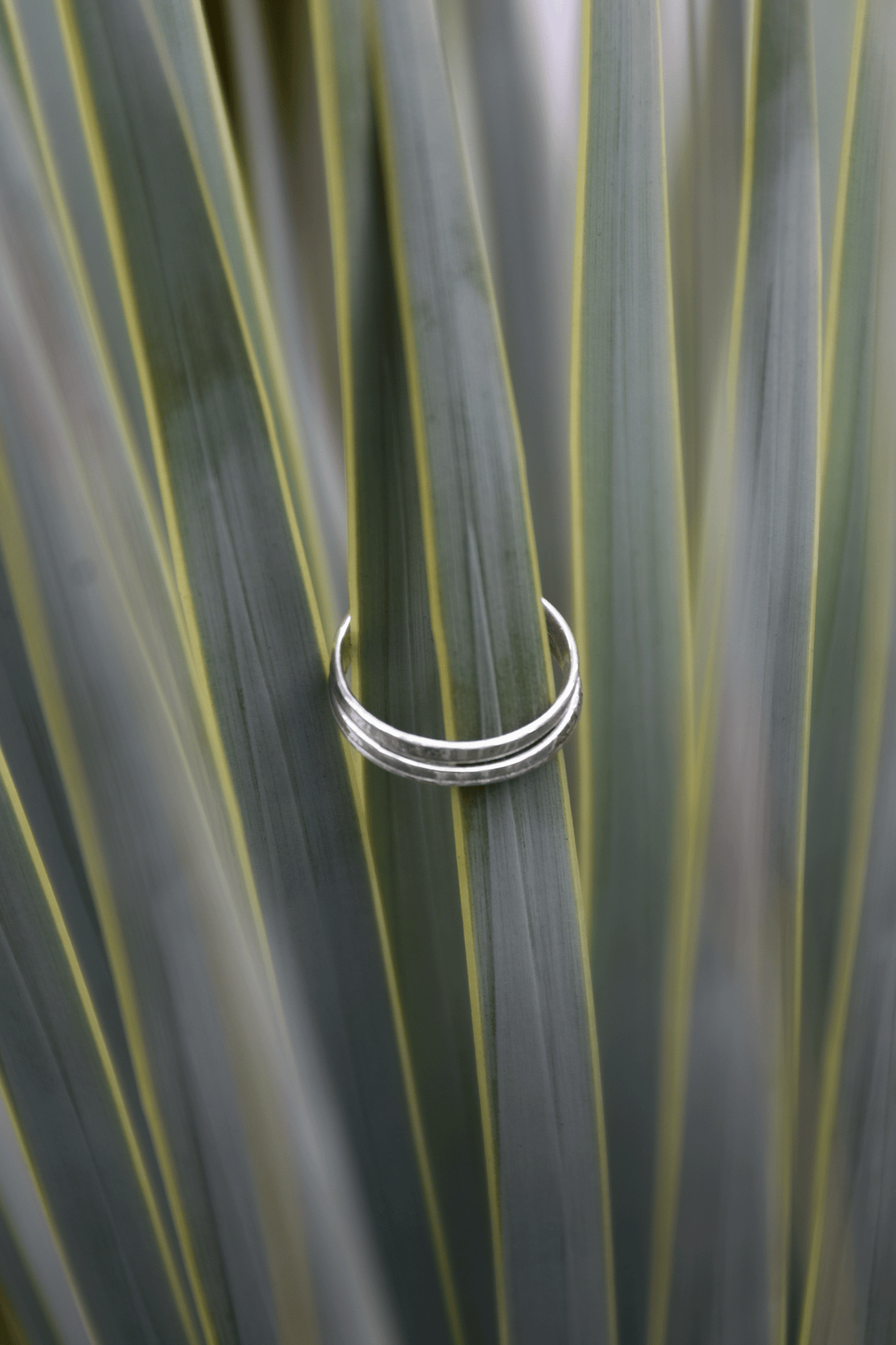 Raw Coin Ring /H-098