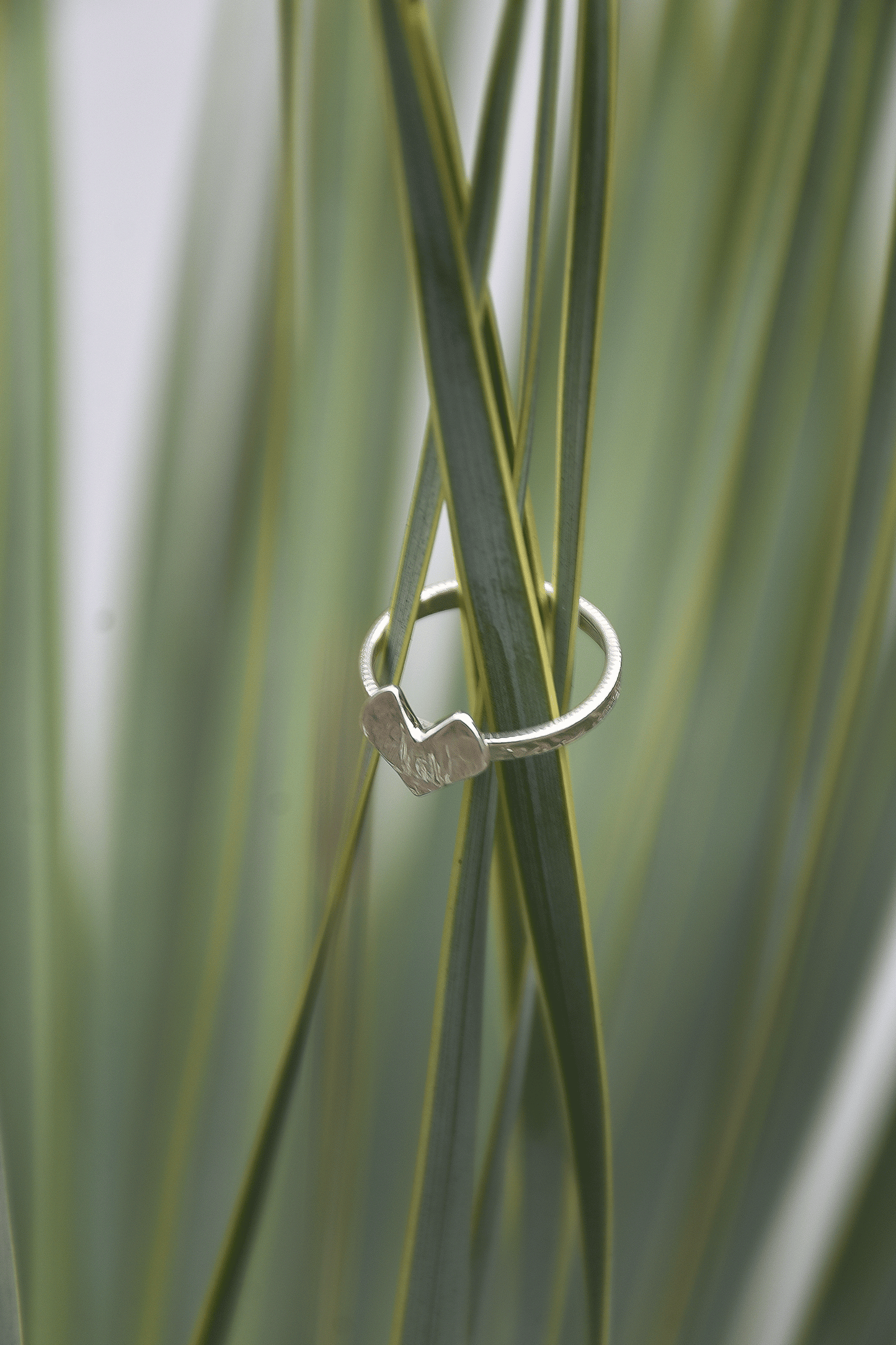 Heart Coin Ring /H-104